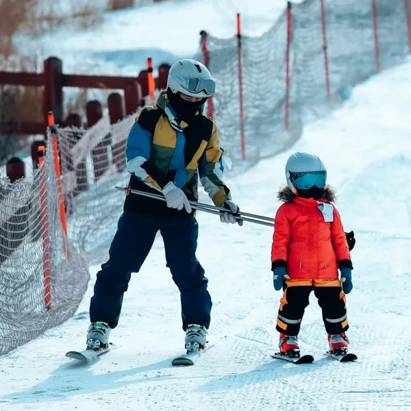 RC Professionnelle  école